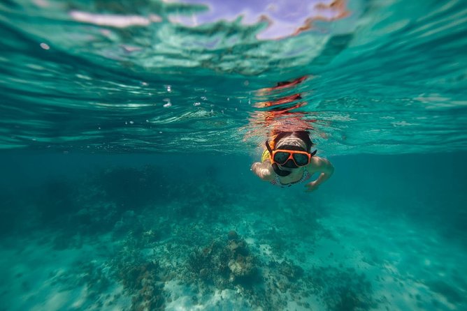 Catamaran and Snorkeling Cruise At Carlisle Bay - Why Carlisle Bay makes a good half-day outing