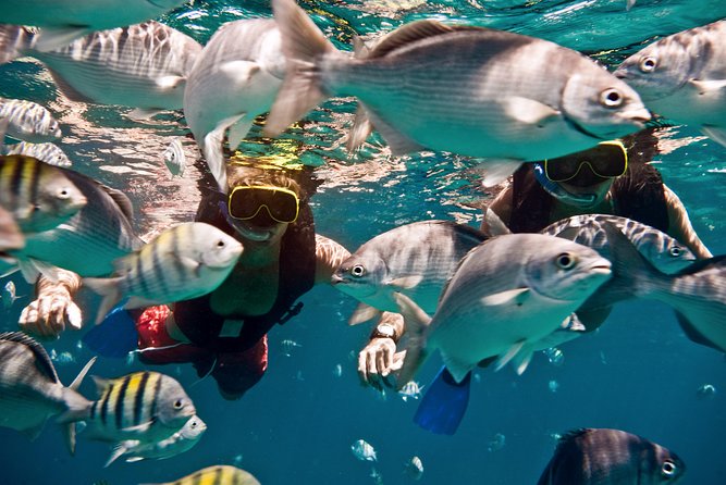 Catamaran and Snorkeling Cruise At Carlisle Bay - Lunch, Bajan flavors, and the open bar