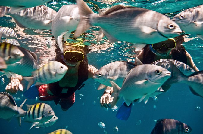 Catamaran and Snorkeling Cruise At Carlisle Bay - Who will enjoy this cruise most?