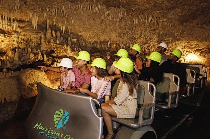 Cave & Monkey Zipline Experience at Harrison's Cave by Chukka - Transport is the part to handle carefully