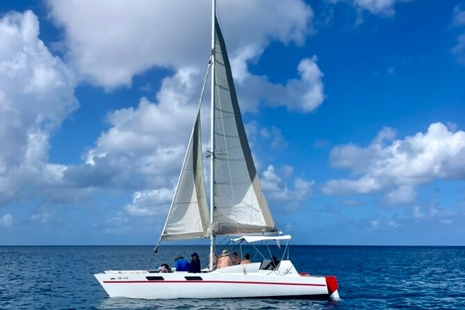 Che’s snorkel cruise! turtles & shipwrecks (semi private) - Boats, gear, and the boarding ladder