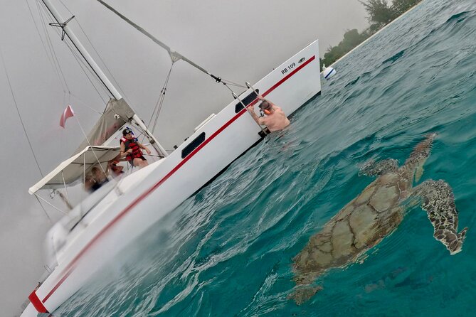 Che’s snorkel cruise! turtles & shipwrecks (semi private) - Is $75 a fair price?