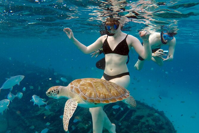 Che’s snorkel cruise! turtles & shipwrecks (semi private) - Weather, cancellations, and what to pack