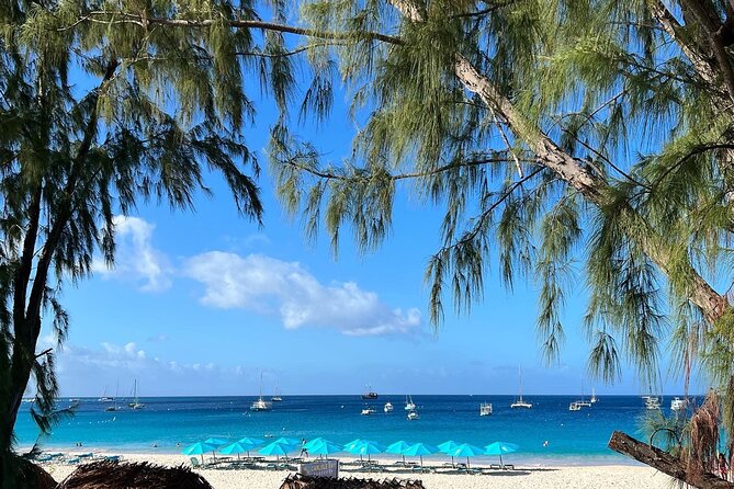Cruise Passanger Beach day in Barbados with shuttle transfers - Chairs, umbrellas, and the beach club setup