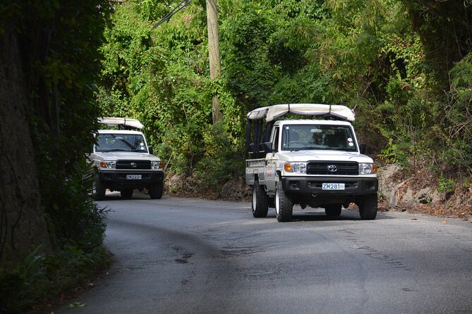 Discovery Safari - Key things to know before booking