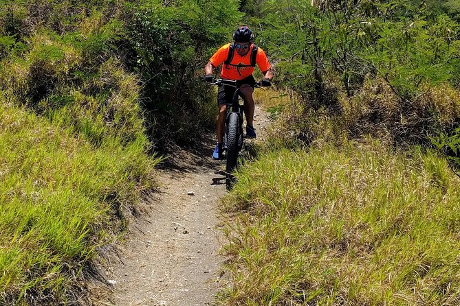 Electric Bike Bajan Sightseeing Experience (Transport Included) - What the road and trail conditions feel like