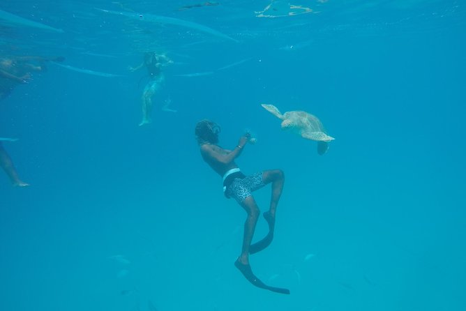 Elegance Catamaran turtles swim and lunch cruise - A quiet bay, a Bajan buffet, and time to swim