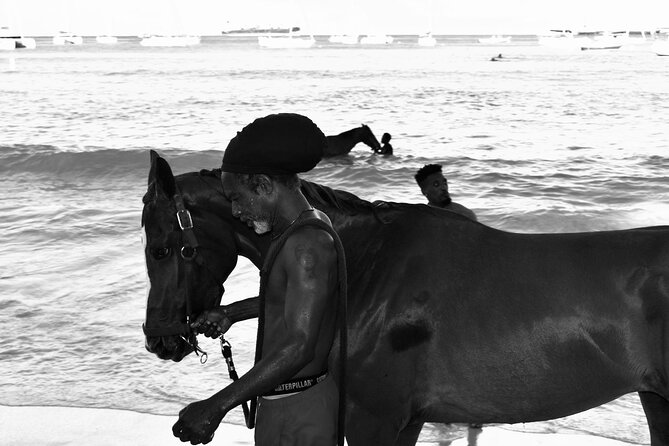 Experience the Swimming Horses at Carlisle Bay & the Garrison - What the Garrison drive does well, and what it does not