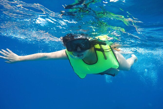 Explore and Discover Barbados By Land & By Sea - The Garrison brings Barbados’s colonial story into focus