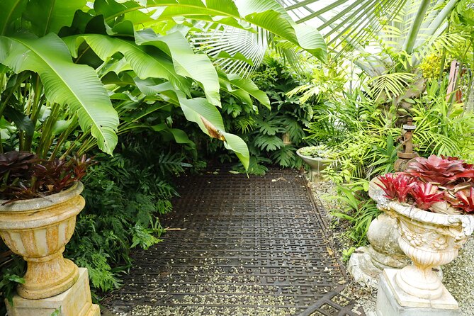 Explore the Enchanted Gardens of Barbados - How much walking and planning should you expect?