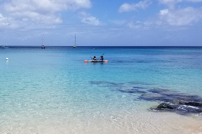Folkestone Coral Reef Clear Kayak Tour - Key points before you book