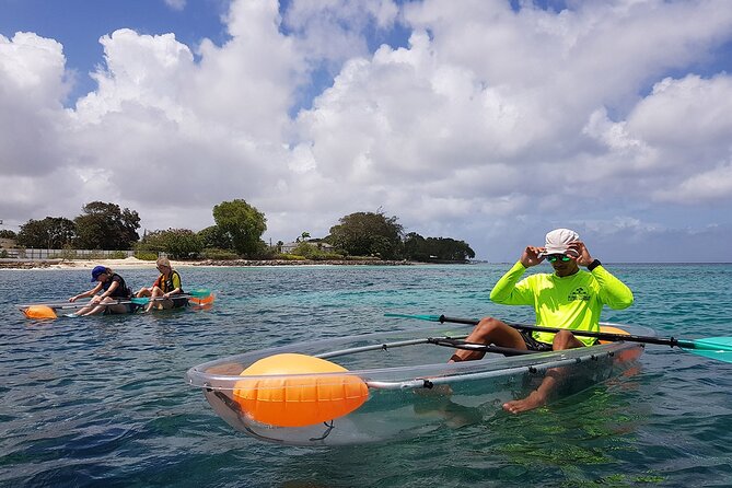 Folkestone Coral Reef Clear Kayak Tour - What the reef view is really worth