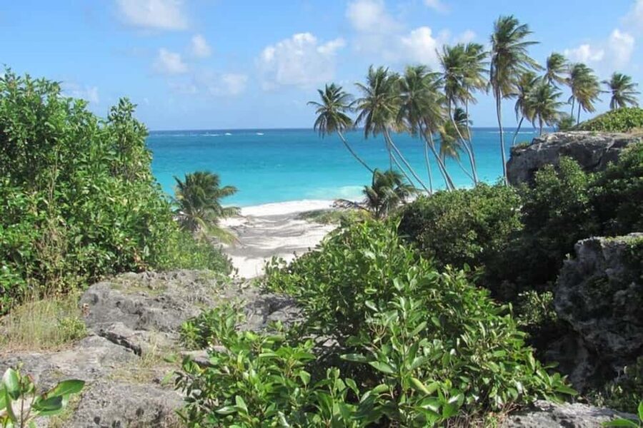 From Bridgetown: Barbados Coast To Coast Half-Day Tour - Bathsheba Beach shows the wild Atlantic side