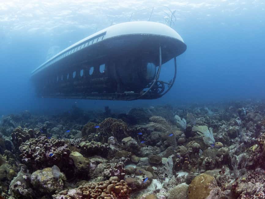 From Bridgetown: Scenic Boat and Submarine Tour - Seeing Barbados from inside a real submarine