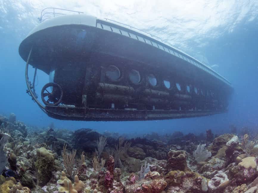 From Bridgetown: Scenic Boat and Submarine Tour - The Ocean Quest ride and transfer