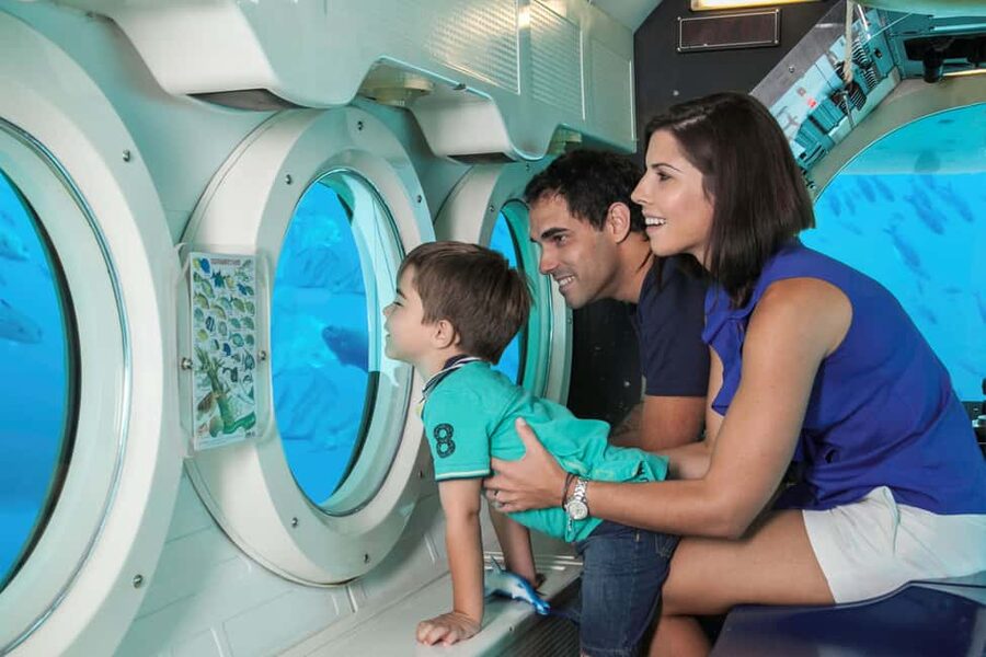 From Bridgetown: Scenic Boat and Submarine Tour - What you may see through the viewports