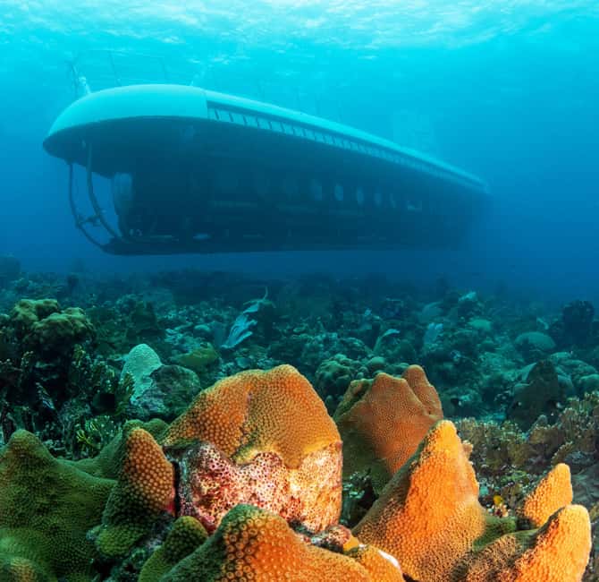 From Bridgetown: Scenic Boat and Submarine Tour - Forty minutes below the surface