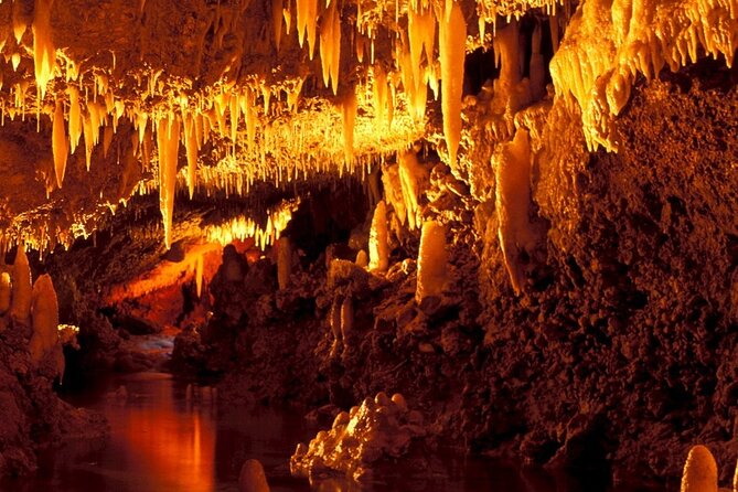 Full-Day Natural Heritage Tour in Barbados with Lunch - Why this Barbados day tour works