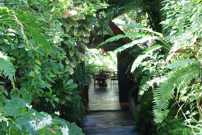 Garden Delight Full-Day Tour in Barbados - Hunte’s Gardens, the likely favorite for garden fans