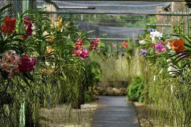Garden Delight Full-Day Tour in Barbados - A lunch stop that breaks up the garden visits