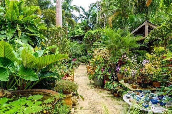 Gardens & Abbey - Who should book this morning?