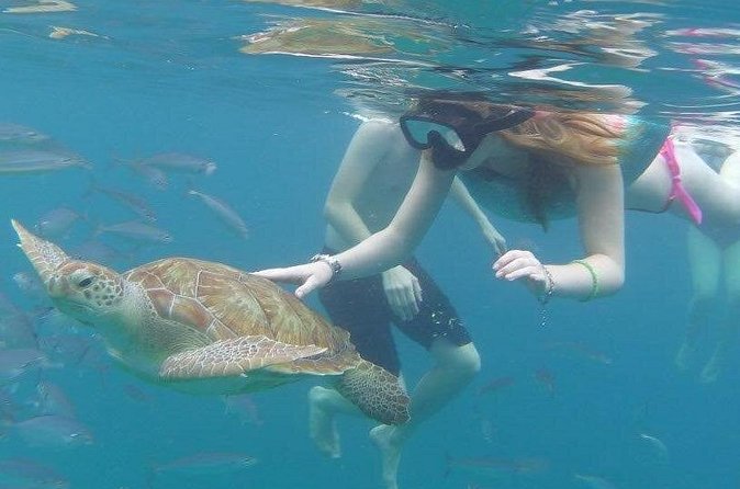 Good Times Too Premium Catamaran Lunch Cruise - What the service is like for families and first-time snorkelers