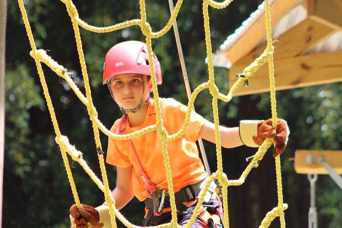 Gully Challenge Course & Cave Tour at Harrison's Cave by Chukka - Fourteen obstacles under the tropical sun