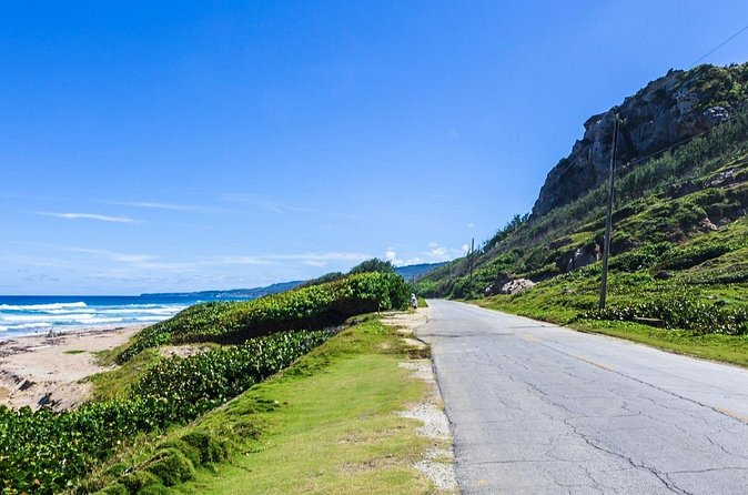 Half-Day Barbados Caves and Critters Tour with Pick Up - What the $140 price includes