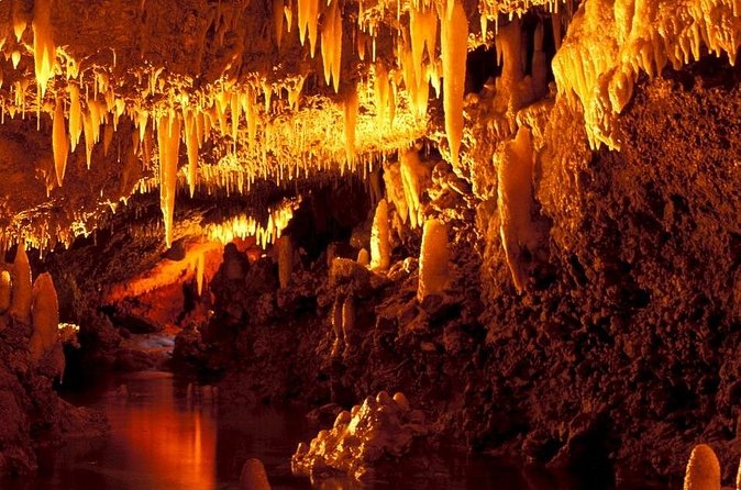 Half-Day Barbados Caves and Critters Tour with Pick Up - The guides can shape your day