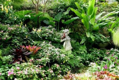 Half-Day Barbados Tour Harrisons Cave Hunte’s Garden and Bathsheba