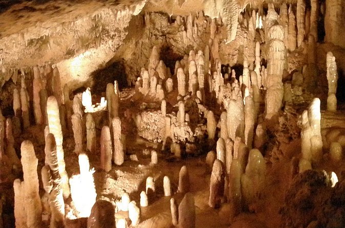 Half-Day Barbados Tour Harrisons Cave Hunte's Garden and Bathsheba - Timing, roads, and comfort