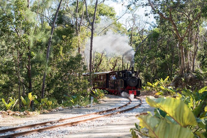 Half Day Tour St Nicholas Abbey and The Barbados Wildlife Reserve - Who will enjoy this tour most?