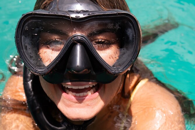 Harbour Lights-Chair &Turtle Shipwreck Snorkel Tour(10:30-1:30pm) - The best feature is the help in the water
