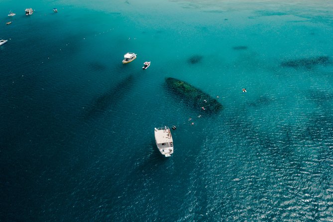 Harbour Lights-Chair &Turtle Shipwreck Snorkel Tour(10:30-1:30pm) - Crowds can change the whole feel of the snorkel