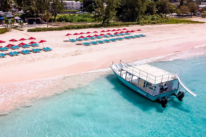 Harbour Lights-Chair &Turtle Shipwreck Snorkel Tour(10:30-1:30pm) - Is the $39.50 price good value?