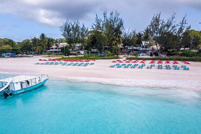 Harbour Lights-Chair &Turtle Shipwreck Snorkel Tour(10:30-1:30pm) - Who should book this and who should skip it