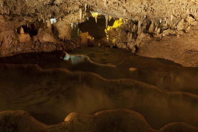 Harrison's Cave Tour from Bridgetown - What the cave shows you about Barbados