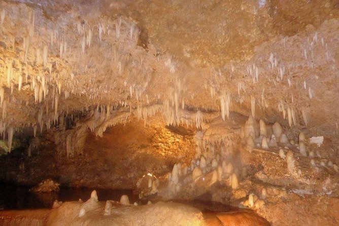 Harrison's Cave Tour from Bridgetown - Who should book this cave tour?