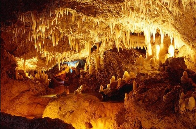 Harrison's Cave Tour from Bridgetown - Booking, cancellation, and timing tips