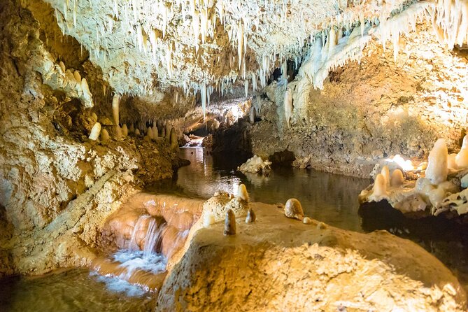 Harrison's Cave Tour in Barbados - The Main Event: Harrison’s Cave by Electric Tram