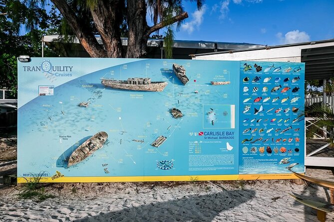 Hotel Beach Day at Savvy with Shuttle Transfer - Who should book this Barbados beach day?