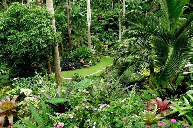 Hunte's Garden and St Nicholas Abbey small group Barbados tour - The tour’s history needs a critical eye
