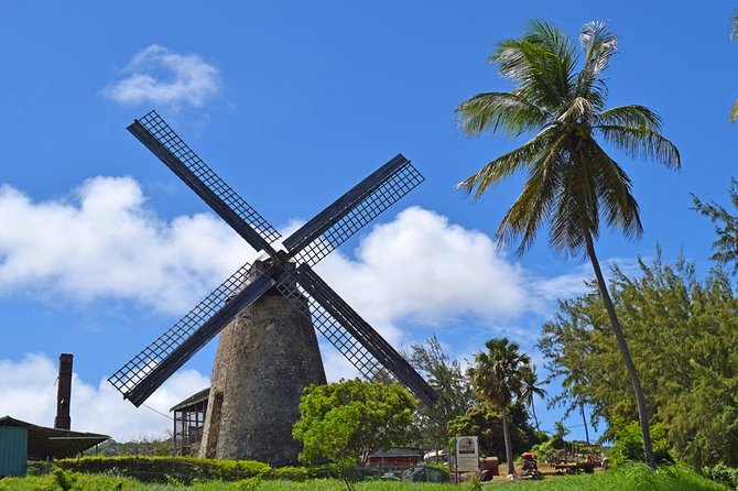 Hunte's Garden and St Nicholas Abbey small group Barbados tour - Bathsheba gives you Barbados from the east coast