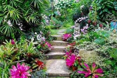 Hunte’s Gardens