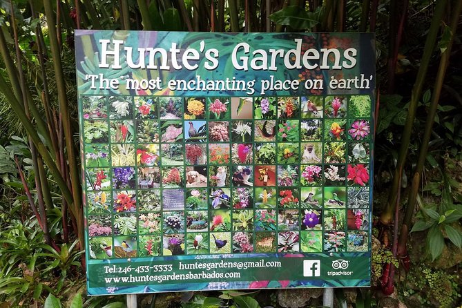 Hunte's Gardens - Meeting Anthony Hunte and enjoying the human touch
