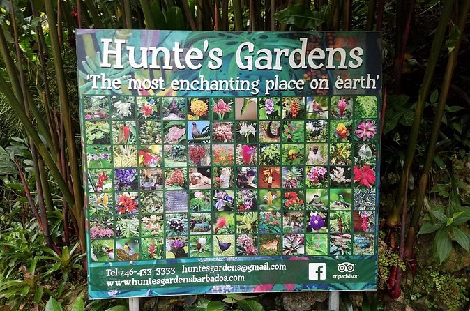Hunte's Gardens - How long you should spend inside