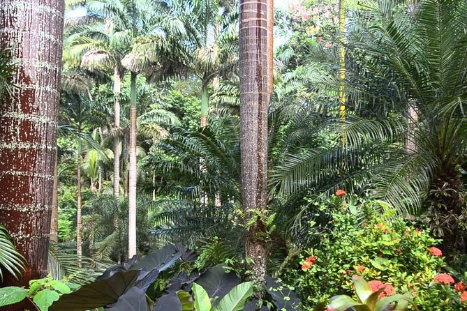 Hunte's Gardens - Practical details that can shape your visit