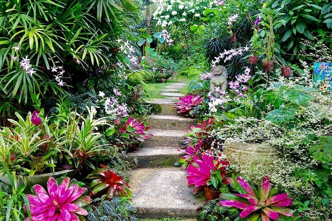 Hunte's Gardens - What happens on the drive from your hotel