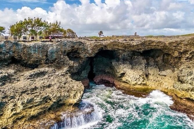 Lunch At Animal Flower Cave with Scenic Drive of Barbados - Lunch with the North Point coastline in view