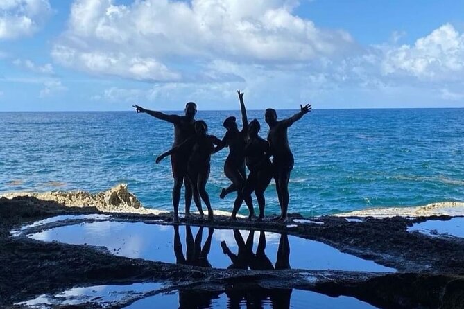 Lunch At Animal Flower Cave with Scenic Drive of Barbados - What the $170 price really covers